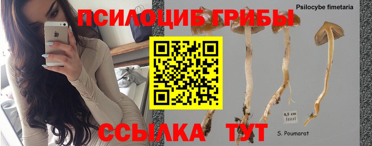 Галлюциногенные грибы мицелий Конаково