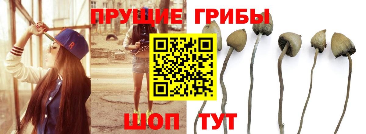 Галлюциногенные грибы мухоморы  Вход с VPN  продажа наркотиков  Галлюциногенные грибы Magic Shrooms  Конаково 